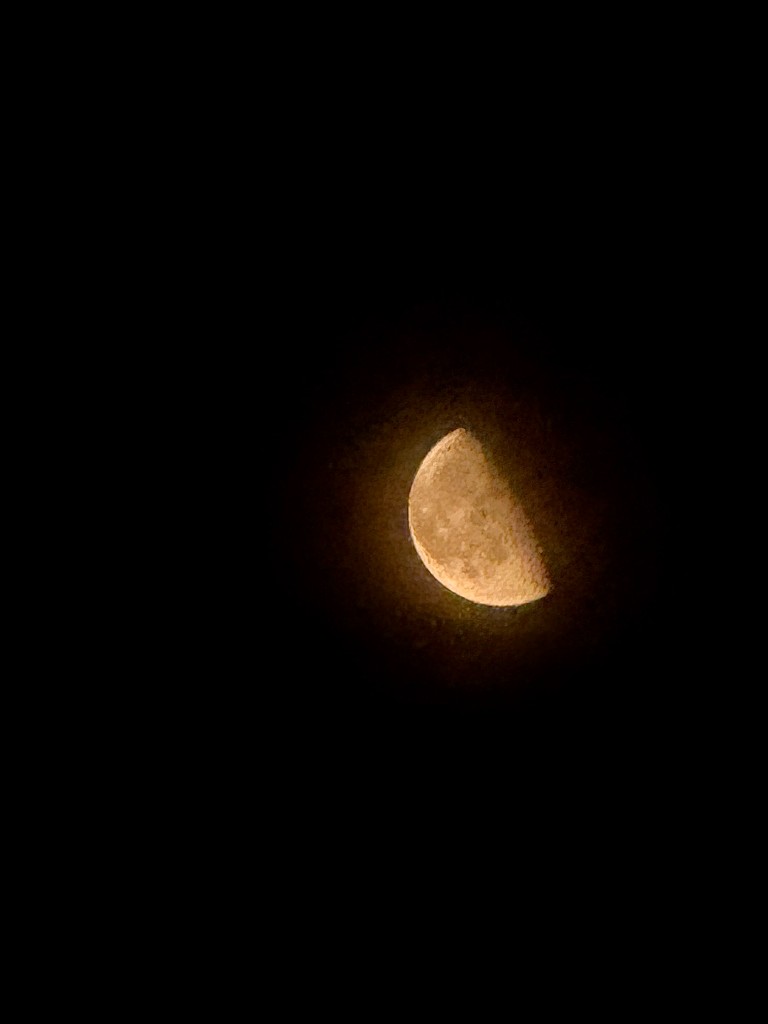 Half moon in the night sky